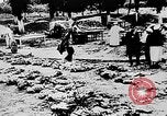Image of mass burial Ukraine, 1944, second 26 stock footage video 65675071994