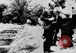 Image of mass burial Ukraine, 1944, second 33 stock footage video 65675071994