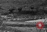 Standbild Mekong Bridge Birma, 1944, aus Sekunde 39 historischem Filmmaterial Videoclip 65675071998