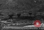 Standbild Mekong Bridge Birma, 1944, aus Sekunde 42 historischem Filmmaterial Videoclip 65675071998