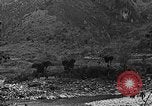 Standbild Mekong Bridge Birma, 1944, aus Sekunde 46 historischem Filmmaterial Videoclip 65675071998