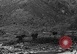 Standbild Mekong Bridge Birma, 1944, aus Sekunde 55 historischem Filmmaterial Videoclip 65675071998