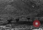 Standbild Mekong Bridge Birma, 1944, aus Sekunde 56 historischem Filmmaterial Videoclip 65675071998