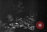 Image of fishermen Nova Scotia, 1936, second 3 stock footage video 65675072005