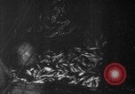 Image of fishermen Nova Scotia, 1936, second 4 stock footage video 65675072005