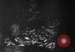 Image of fishermen Nova Scotia, 1936, second 5 stock footage video 65675072005