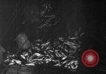 Image of fishermen Nova Scotia, 1936, second 8 stock footage video 65675072005