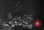 Image of fishermen Nova Scotia, 1936, second 9 stock footage video 65675072005
