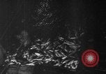 Image of fishermen Nova Scotia, 1936, second 10 stock footage video 65675072005