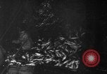 Image of fishermen Nova Scotia, 1936, second 12 stock footage video 65675072005
