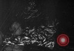 Image of fishermen Nova Scotia, 1936, second 13 stock footage video 65675072005