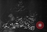 Image of fishermen Nova Scotia, 1936, second 14 stock footage video 65675072005