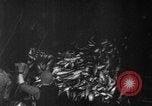 Image of fishermen Nova Scotia, 1936, second 21 stock footage video 65675072005