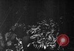 Image of fishermen Nova Scotia, 1936, second 22 stock footage video 65675072005