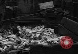 Image of fishermen Nova Scotia, 1936, second 35 stock footage video 65675072005