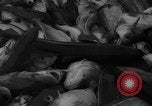 Image of fishermen Nova Scotia, 1936, second 38 stock footage video 65675072005