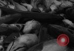 Image of fishermen Nova Scotia, 1936, second 39 stock footage video 65675072005
