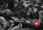 Image of fishermen Nova Scotia, 1936, second 40 stock footage video 65675072005