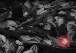 Image of fishermen Nova Scotia, 1936, second 41 stock footage video 65675072005
