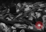 Image of fishermen Nova Scotia, 1936, second 42 stock footage video 65675072005