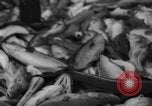 Image of fishermen Nova Scotia, 1936, second 43 stock footage video 65675072005
