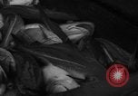 Image of fishermen Nova Scotia, 1936, second 46 stock footage video 65675072005