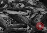 Image of fishermen Nova Scotia, 1936, second 47 stock footage video 65675072005