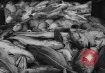 Image of fishermen Nova Scotia, 1936, second 52 stock footage video 65675072005