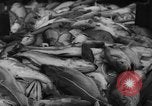 Image of fishermen Nova Scotia, 1936, second 53 stock footage video 65675072005