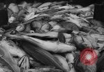 Image of fishermen Nova Scotia, 1936, second 54 stock footage video 65675072005