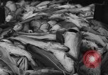 Image of fishermen Nova Scotia, 1936, second 56 stock footage video 65675072005