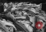 Image of fishermen Nova Scotia, 1936, second 57 stock footage video 65675072005