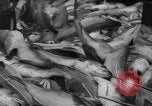 Image of fishermen Nova Scotia, 1936, second 59 stock footage video 65675072005