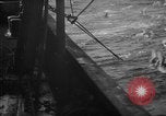 Image of fishing activities Nova Scotia, 1936, second 12 stock footage video 65675072007