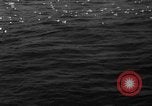Image of seagulls Nova Scotia, 1936, second 3 stock footage video 65675072009