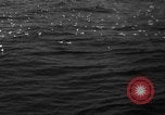Image of seagulls Nova Scotia, 1936, second 4 stock footage video 65675072009