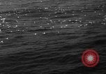 Image of seagulls Nova Scotia, 1936, second 8 stock footage video 65675072009