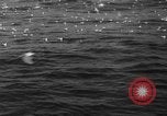 Image of seagulls Nova Scotia, 1936, second 9 stock footage video 65675072009