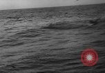 Image of seagulls Nova Scotia, 1936, second 12 stock footage video 65675072009