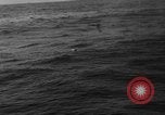 Image of seagulls Nova Scotia, 1936, second 20 stock footage video 65675072009