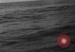 Image of seagulls Nova Scotia, 1936, second 21 stock footage video 65675072009