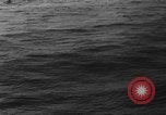 Image of seagulls Nova Scotia, 1936, second 25 stock footage video 65675072009