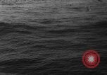 Image of seagulls Nova Scotia, 1936, second 26 stock footage video 65675072009