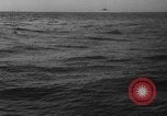 Image of seagulls Nova Scotia, 1936, second 28 stock footage video 65675072009