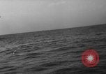 Image of seagulls Nova Scotia, 1936, second 32 stock footage video 65675072009