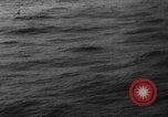 Image of seagulls Nova Scotia, 1936, second 34 stock footage video 65675072009