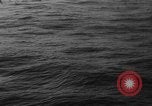 Image of seagulls Nova Scotia, 1936, second 35 stock footage video 65675072009