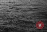 Image of seagulls Nova Scotia, 1936, second 36 stock footage video 65675072009