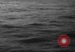 Image of seagulls Nova Scotia, 1936, second 37 stock footage video 65675072009