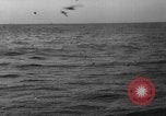 Image of seagulls Nova Scotia, 1936, second 38 stock footage video 65675072009